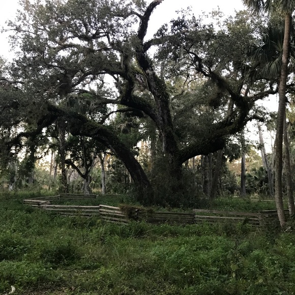 Meet your Posher, Harley Quinn - Picture 5 of 7